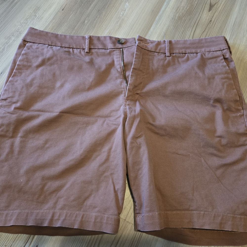 Reddish/Brown Casual Shorts